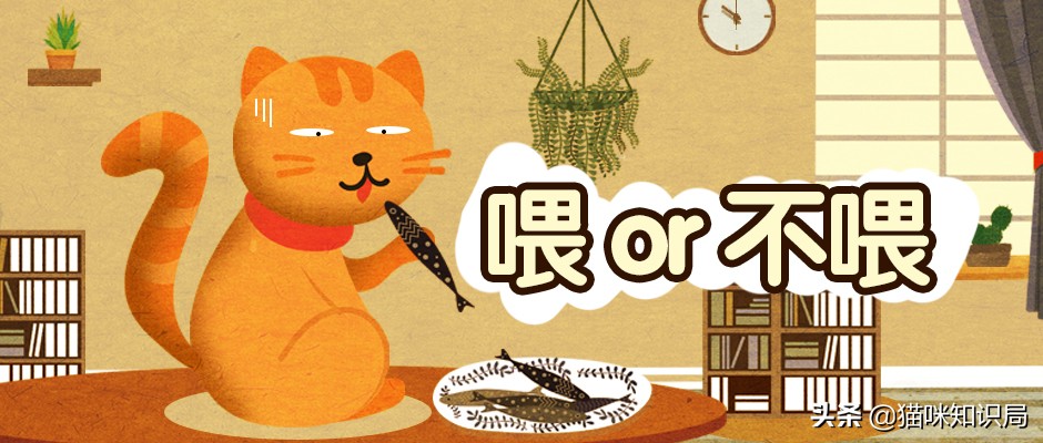 猫粮加营养膏营养够吗,好吃又不贵的猫粮营养膏