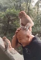 北京人盘星月,北京人盘手串文玩都喜欢什么