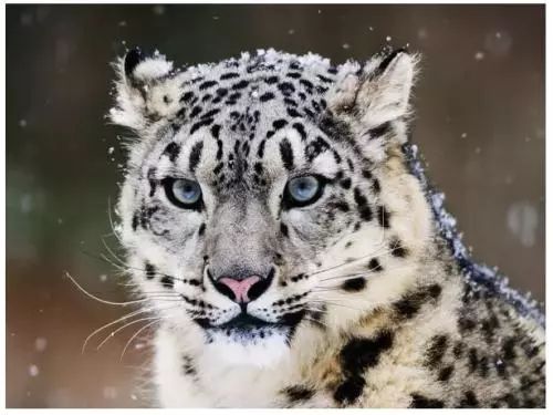 张掖是哪里,什么是张掖人