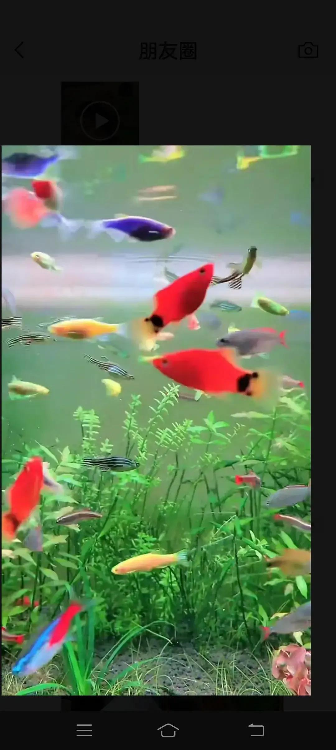 你想一边读书，一边写作挣点零花钱吗？梨花写作书院可以让你实现