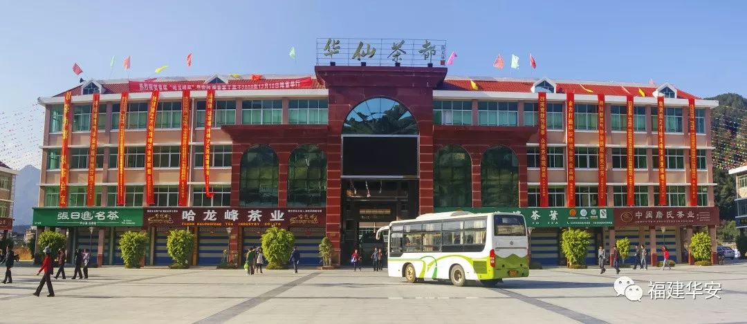 华安：一盏茶的时光