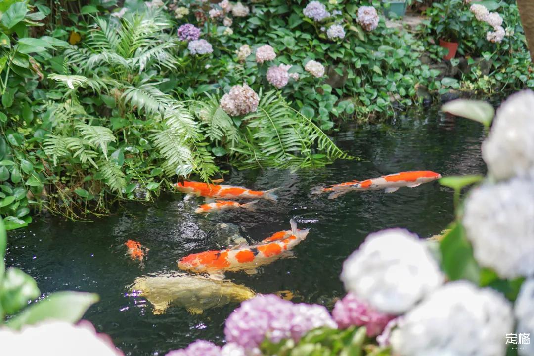 深圳周末打卡地点排行榜,深圳秋季打卡攻略