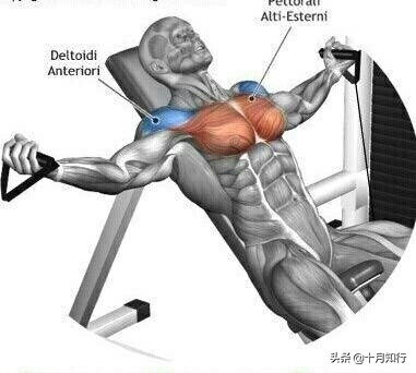练胸大肌的十个动作,练胸的基本9个动作哑铃