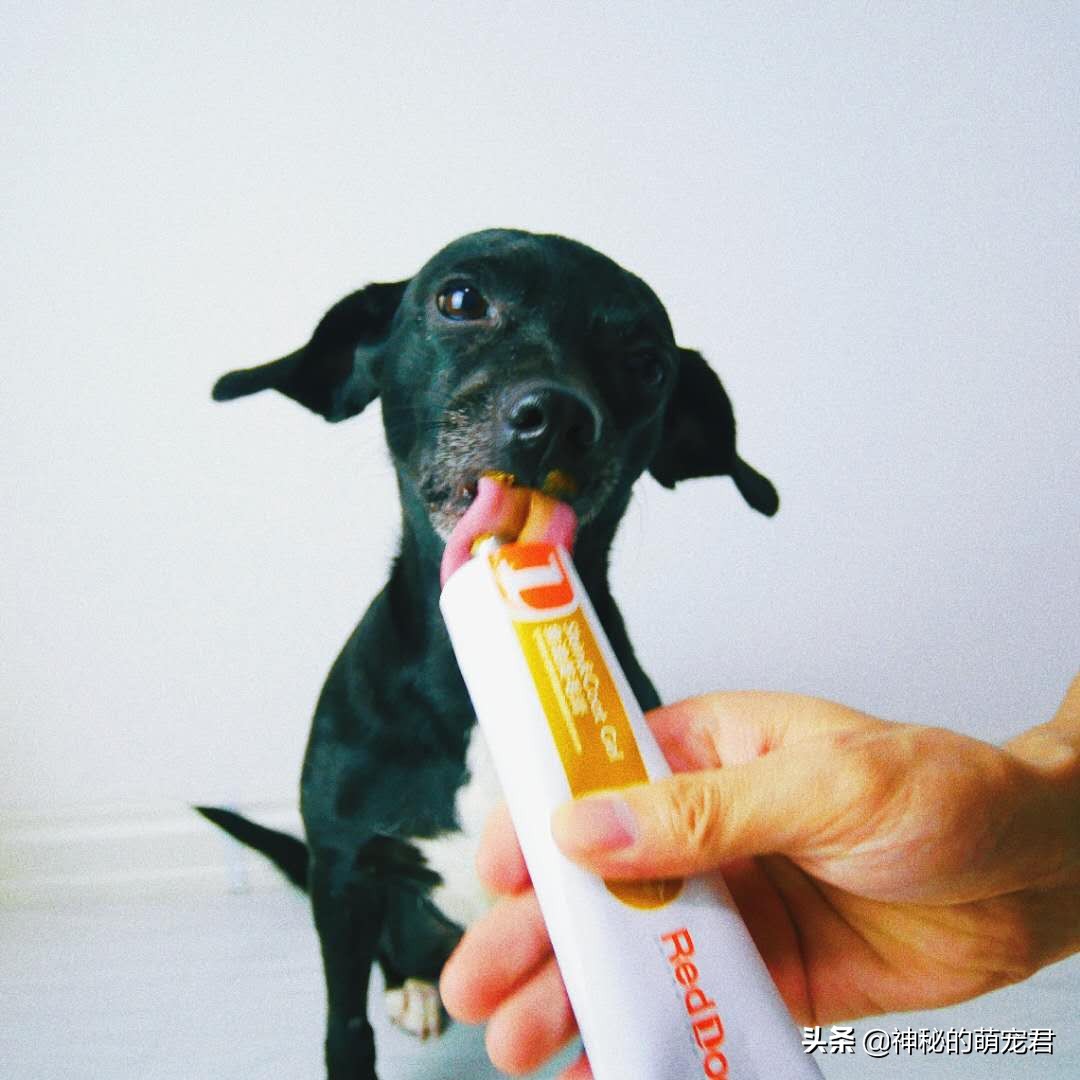 reddog猫咪化毛膏,reddog红狗化毛膏