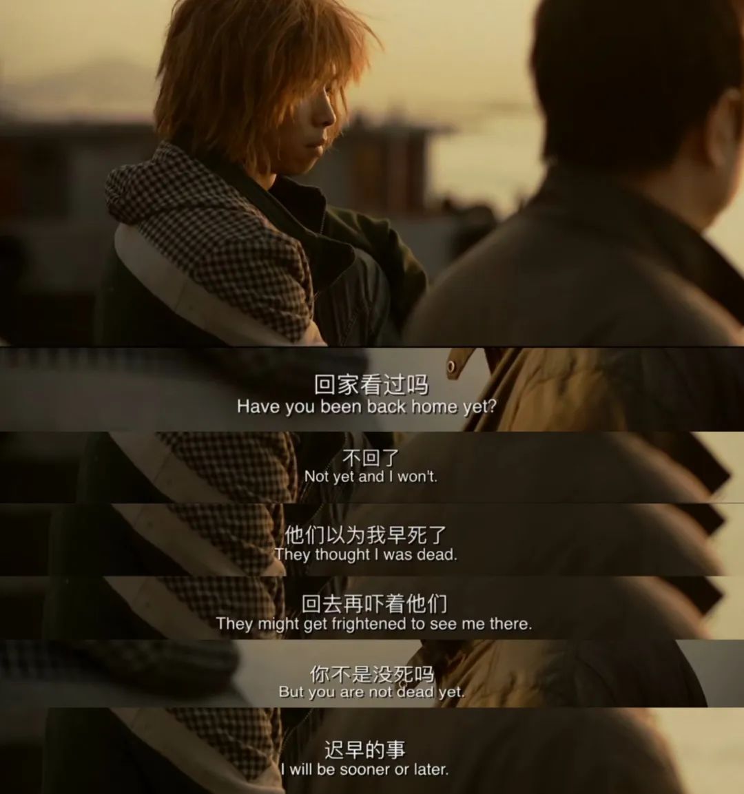 电影人性和良知,电影中的人性关怀