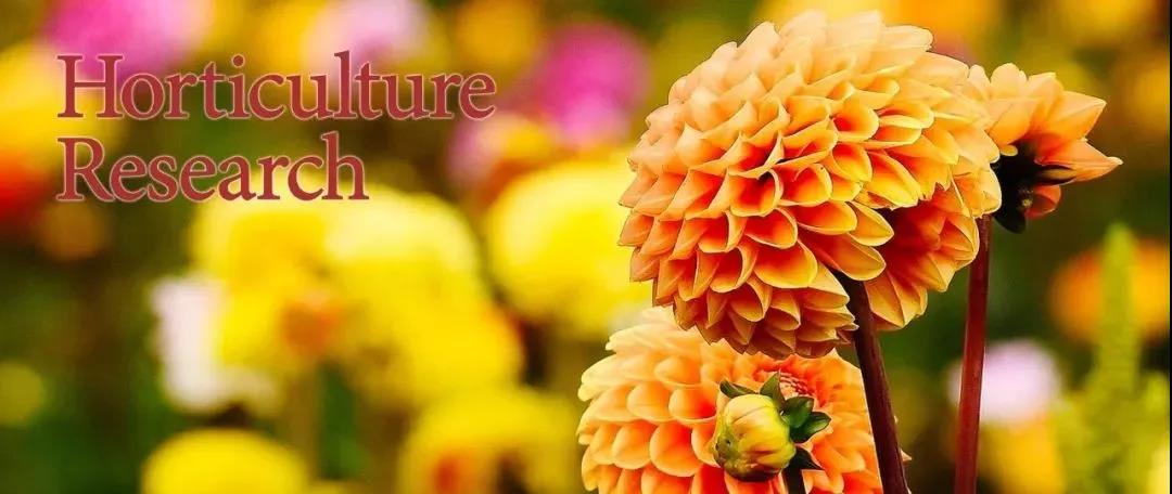 植物转基因技术的研究报告,植物转基因的研究方法