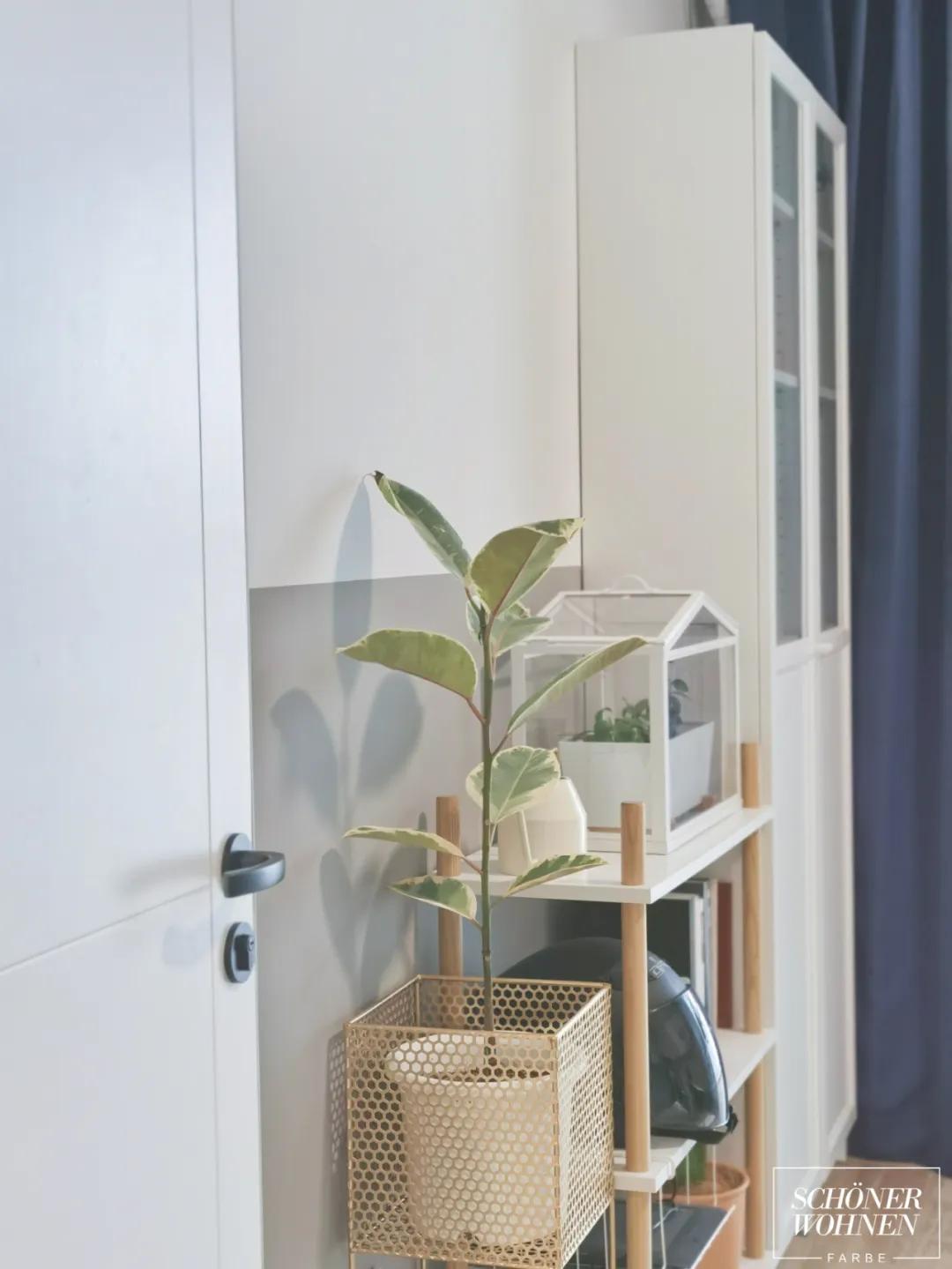 德国舒纳沃恩漆极地白,德国舒纳沃恩漆有气泡怎么办