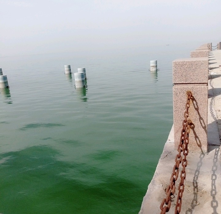 什么是代沟如何消除代沟 (什么是代沟搞笑段子)