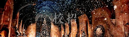 大学生创业是不是最好的出路,大学生创业是不是骗人的