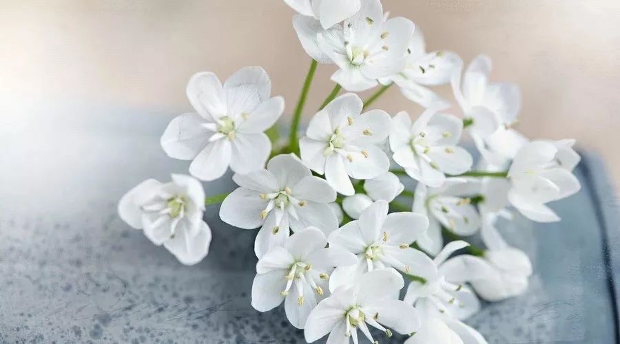 中华经典诵读作品100篇,古文经典诵读版