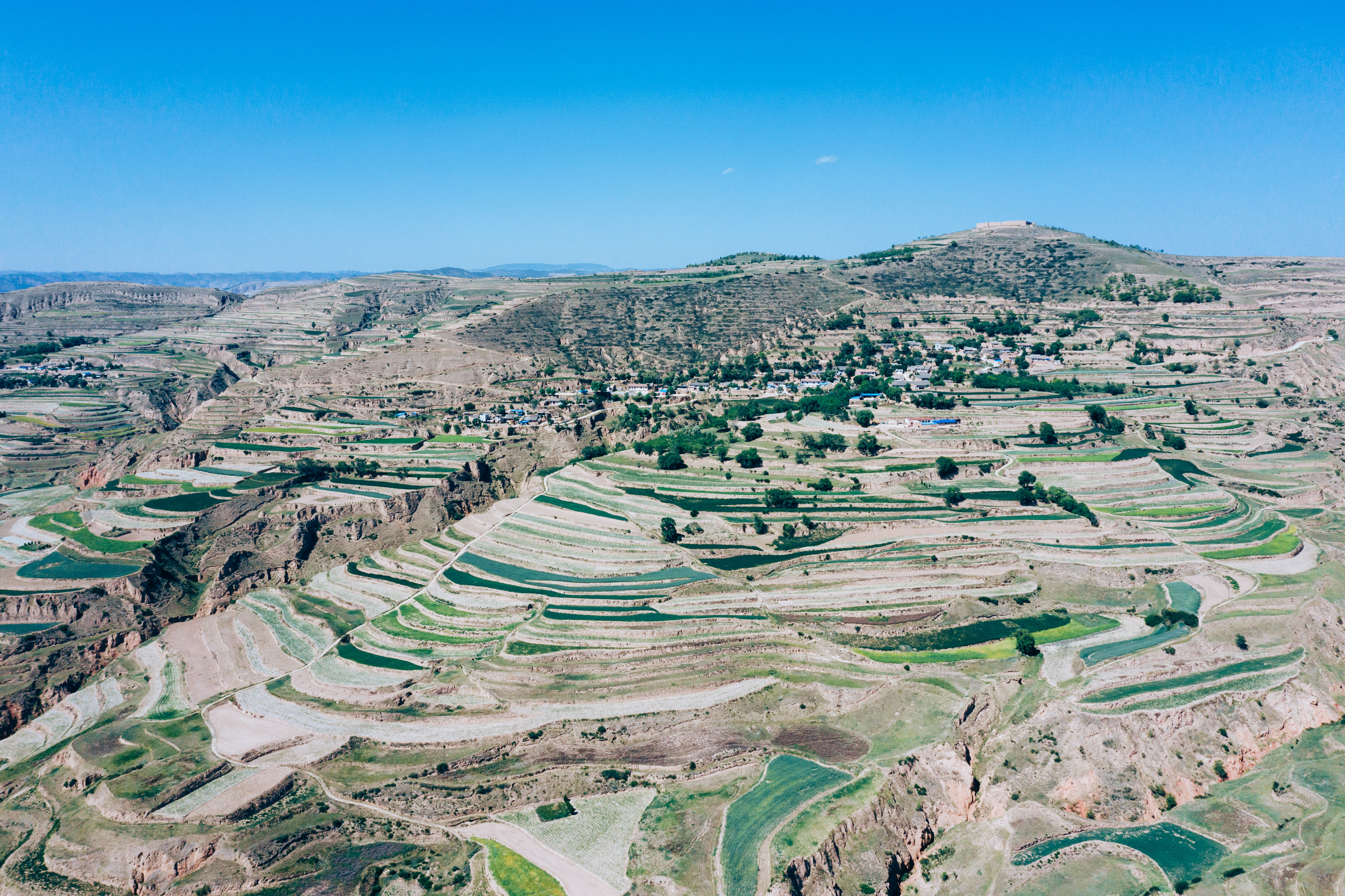 李是不是中国最强的姓氏,李为何能问鼎最强姓氏
