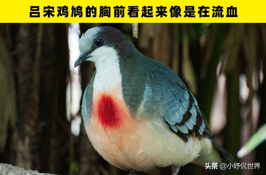 冷知识大揭秘我的世界,真实存在的奇怪冷知识