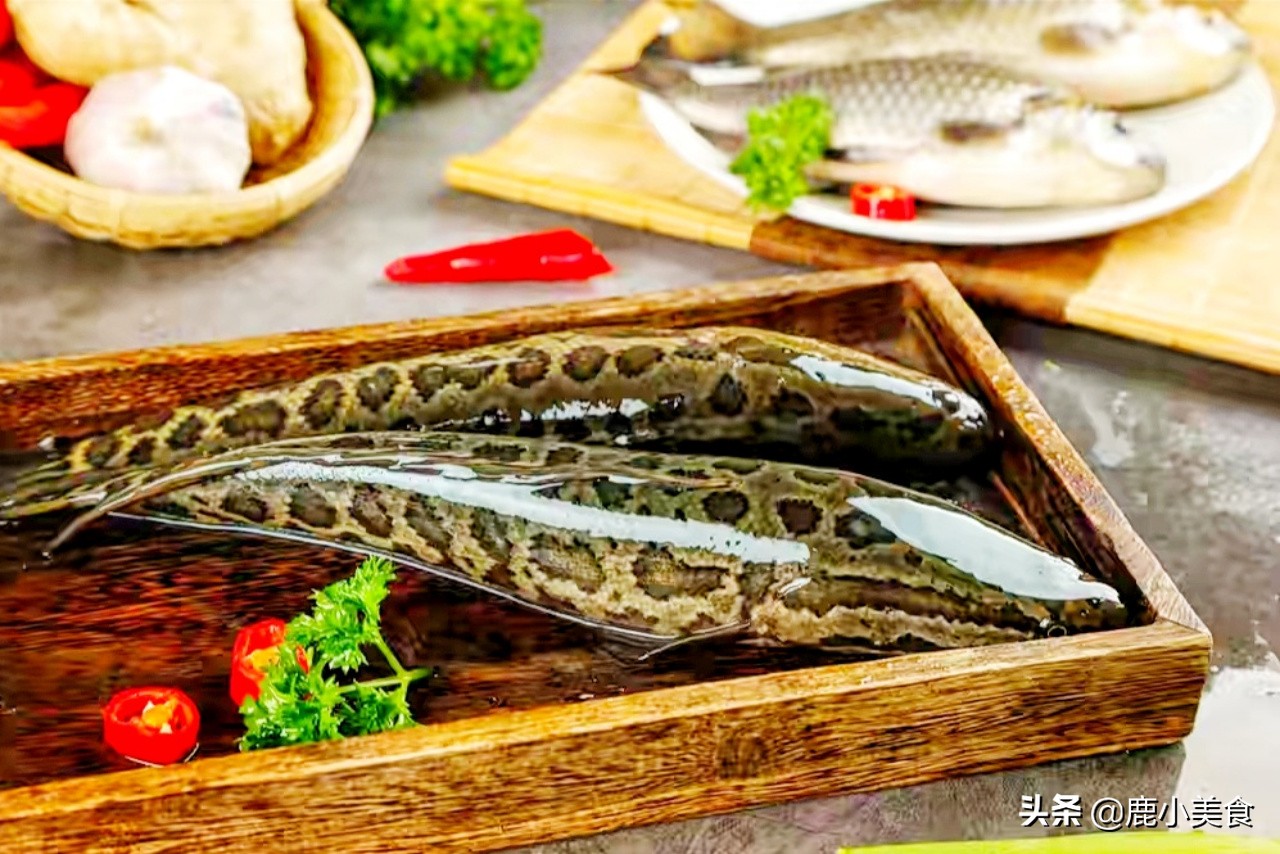 春季养生要吃鱼8种鱼最肥美,春季不可错过的五大时令鱼鲜美味