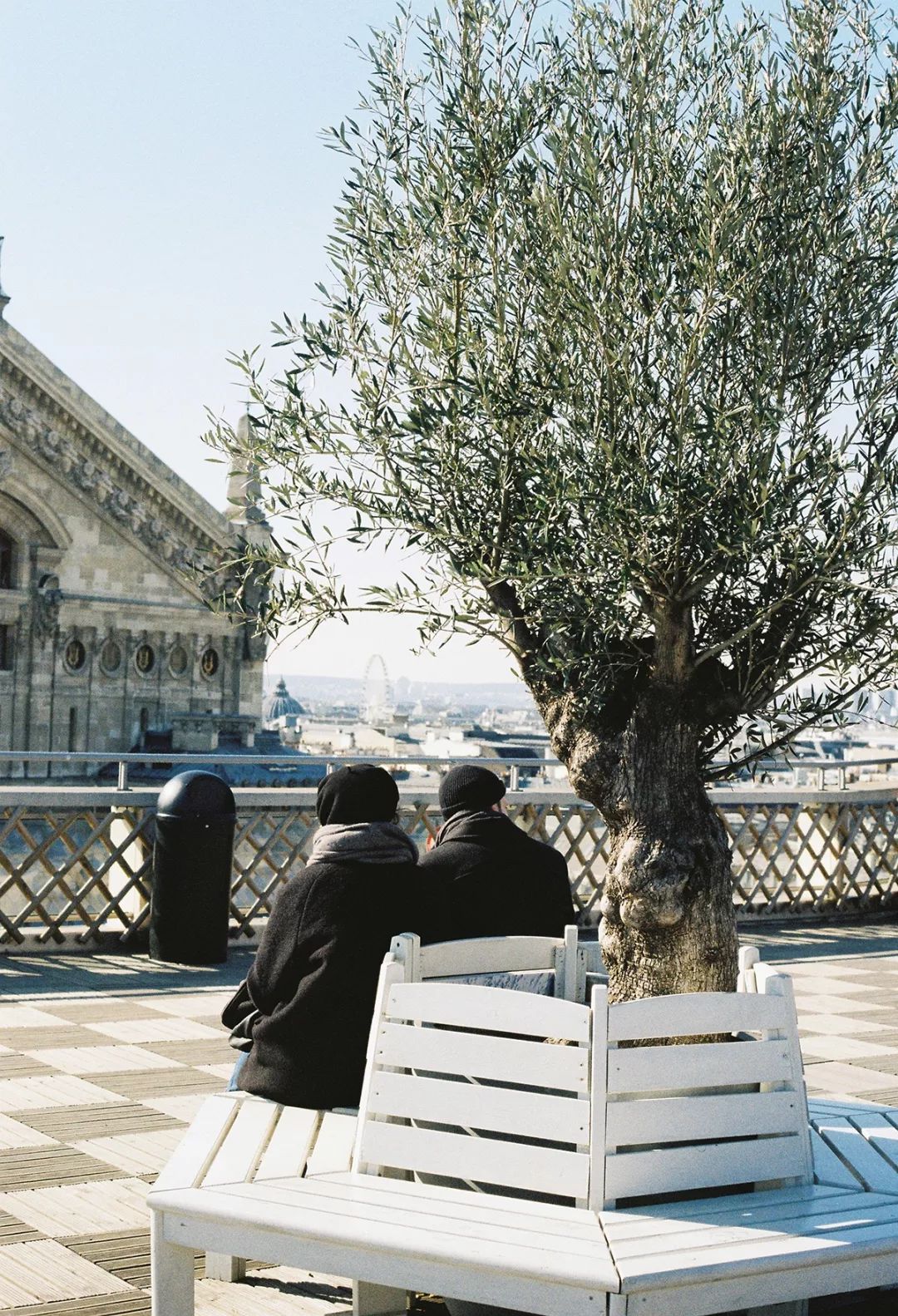 旅行thetravel1973,旅行traveltrip