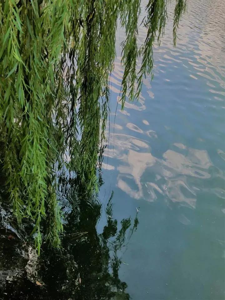 南京财经大学红山学院长什么样,南京财经大学红山学院院系数量