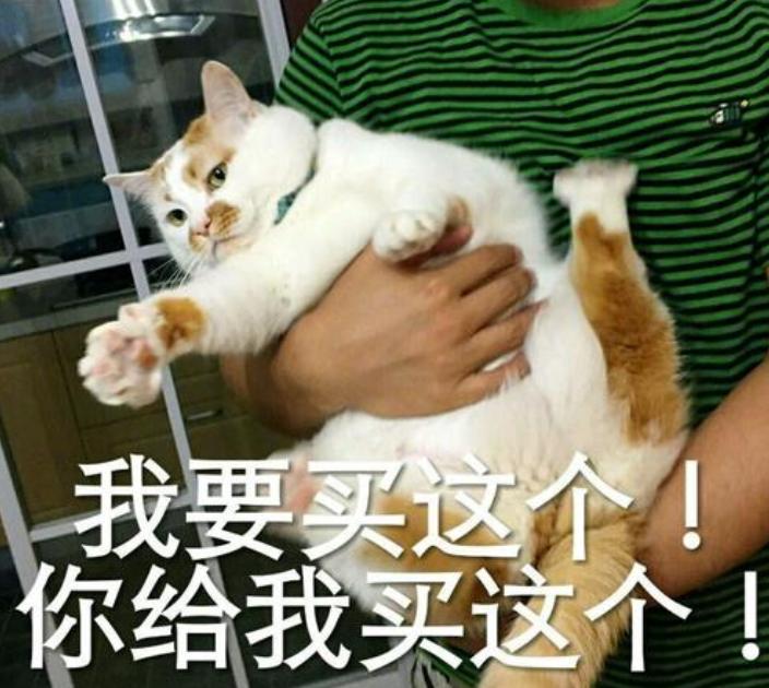 百变大咖秀蔡妍完整版,蔡妍vogue大咖秀