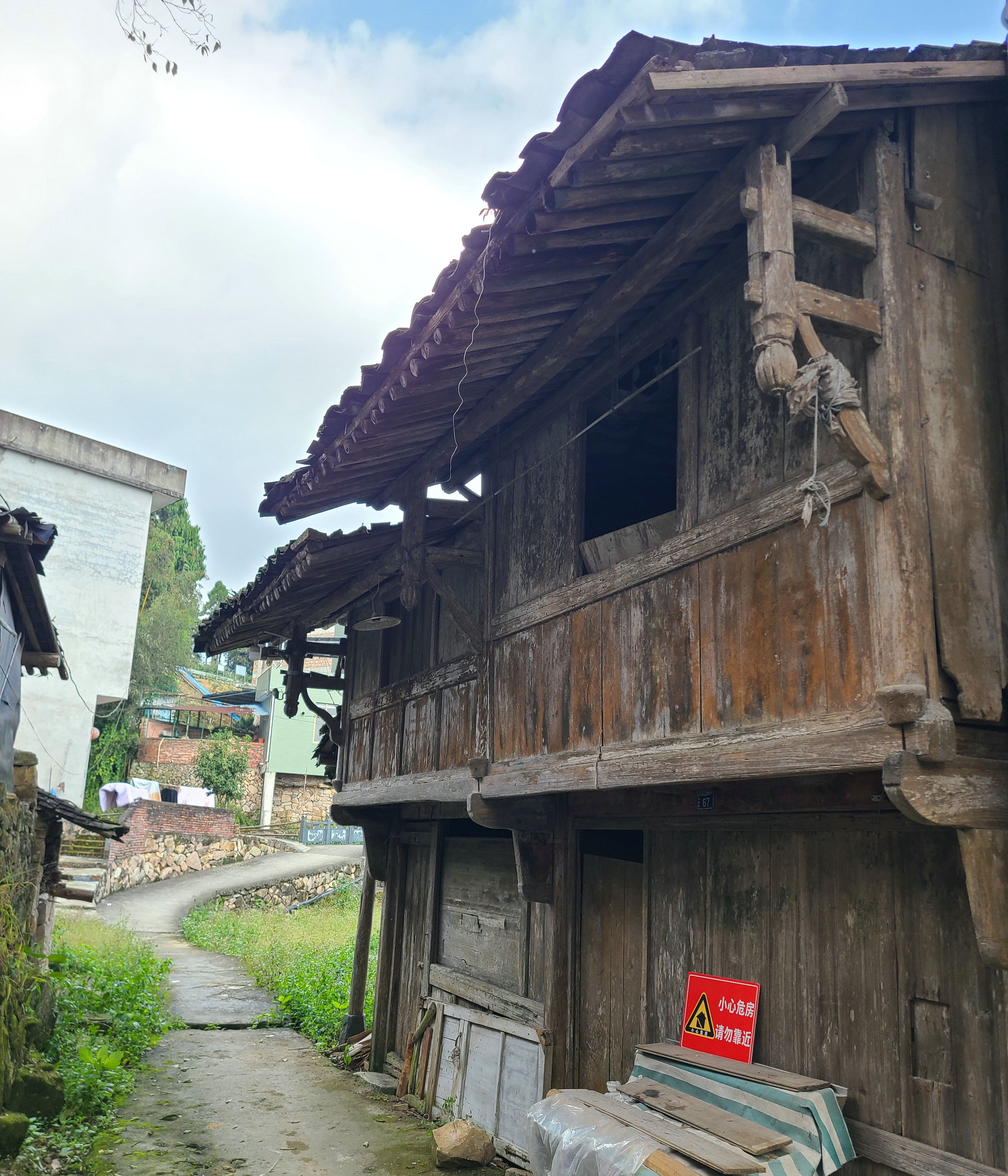 泰顺最出名的茶叶 (泰顺名茶有哪些)