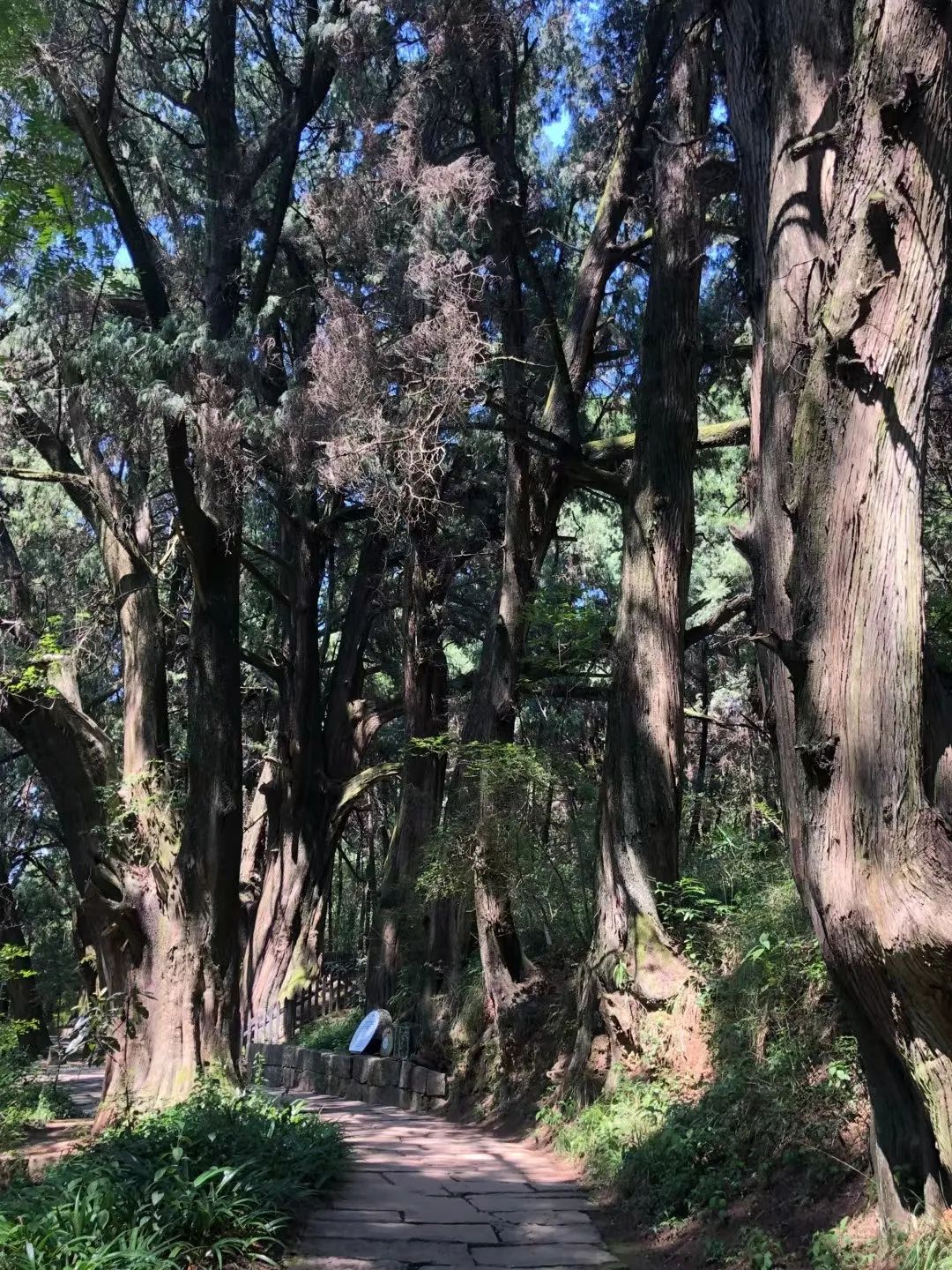 象数思维教学,象数思维教学视频