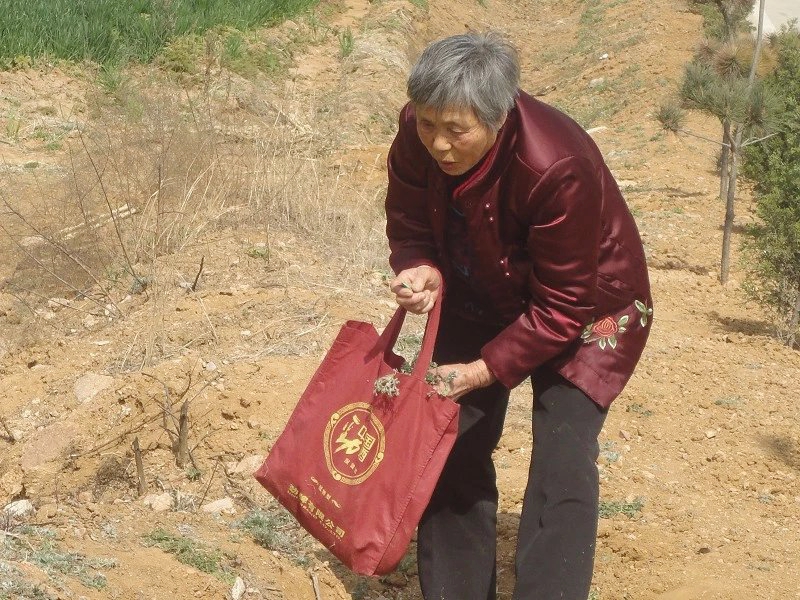 最美的她歌曲原唱,最美的歌献给我的母亲