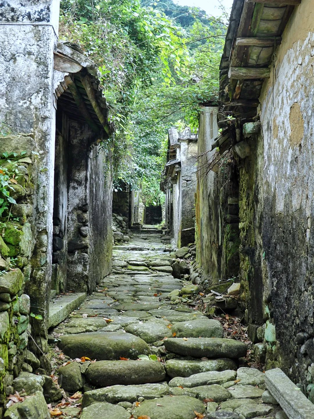 吴彦祖拍的劲爆电影,吴彦祖最新片