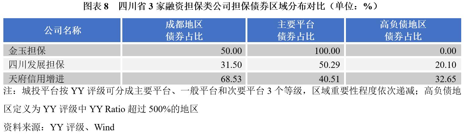 担保公司运营情况汇报材料,担保公司担保项目案例