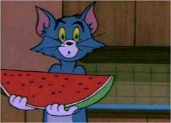 你们天天喊吃瓜吃瓜，那吃的这个瓜为什么是西瓜啊？