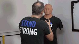 格斗明星的标准动作,格斗如何练抗打能力视频