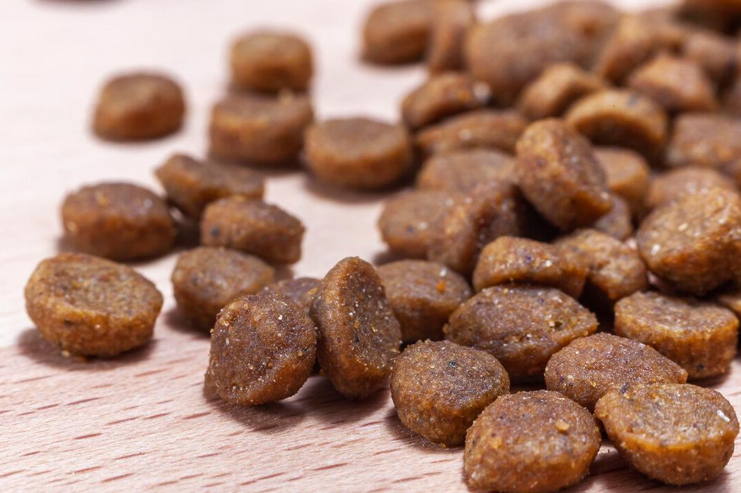 狗粮怎么挑选平价国产狗粮篇,如何帮狗狗挑选狗粮看配料表