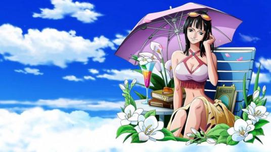 海贼王里的十二星座,海贼王星座大全