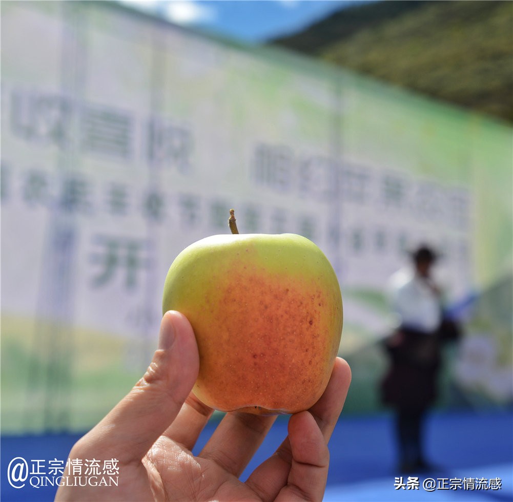 夜色成都串串爽，魅力小金苹果香#国庆中秋趣哪玩#