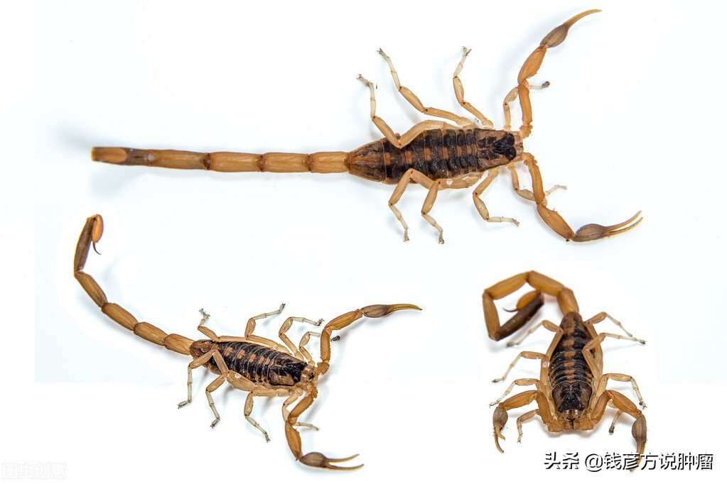 肺癌化疗后症状减轻,肺癌术后复发放疗可以治愈吗