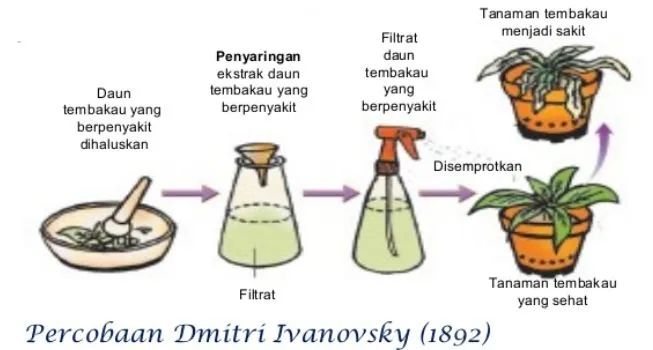 世界第一例病毒是什么,第一个病毒是怎么诞生的