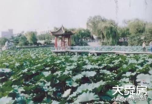 诸城是山东半岛区域性中心城市,山东半岛的小城诸城