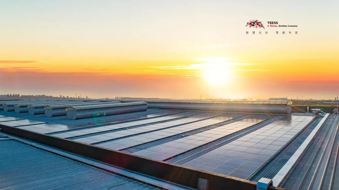 康师傅绿色的饮料,康师傅经典单包