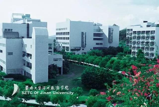 沙井最新消息今天,沙井迎来更新热潮