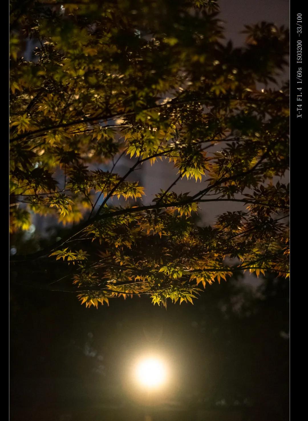 富士微单x-t4深度测试压轴,富士x-t4拍照怎么样