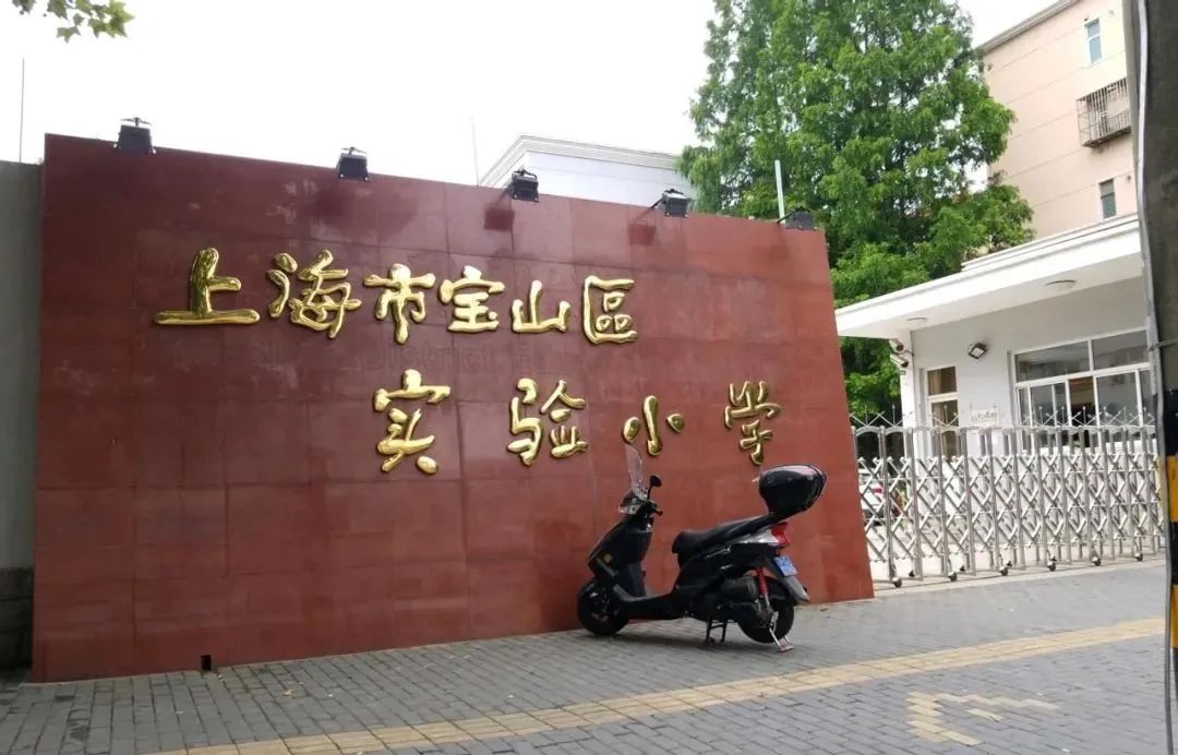 上海16区小学排名一览表,2019年幼升小上海梯队学校名单