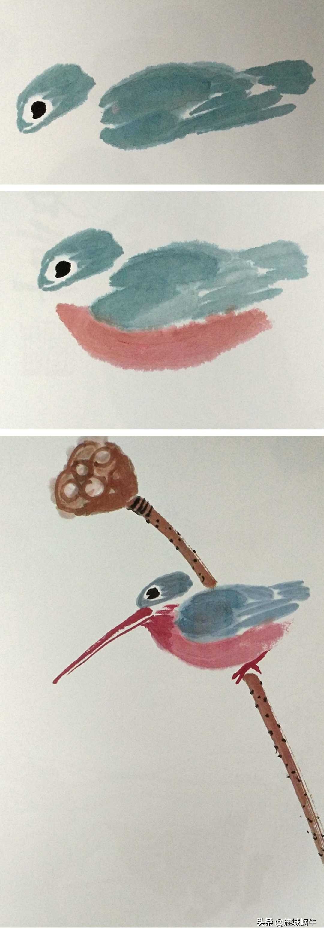 一学就会的禽鸟画法书,禽鸟的画法大全图解