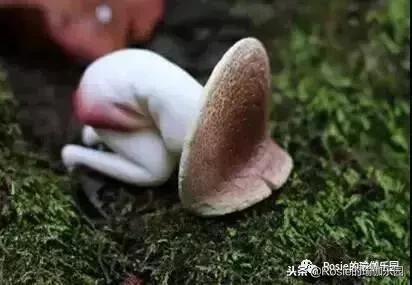 被痛经折磨,痛经也可以试试这些方法