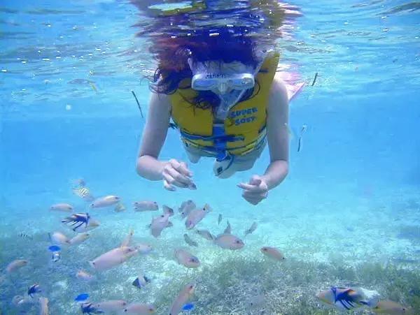 12月旅游日本冲绳最全攻略,春回大地旅游攻略