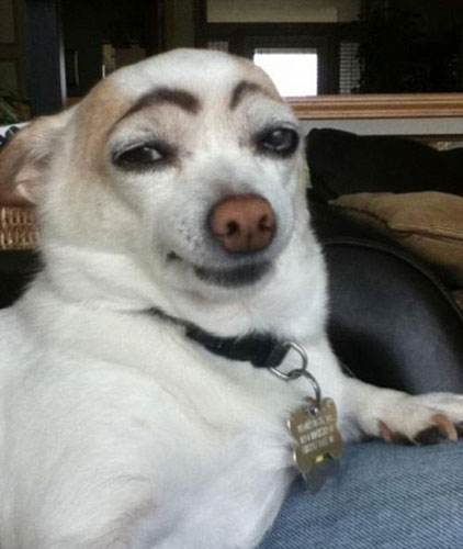 谈恋爱最有用的20条技巧,谈恋爱中怎么追女孩的技巧和方法