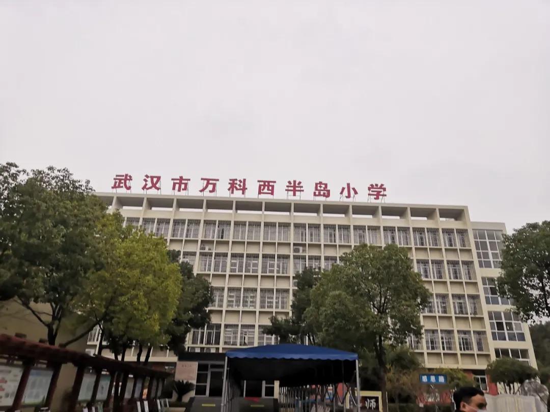 万科西半岛小学教学质量,万科西半岛小学怎么样