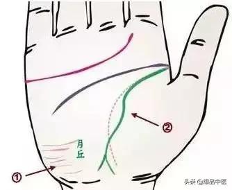 手诊图大全清晰图手背,全息手诊图