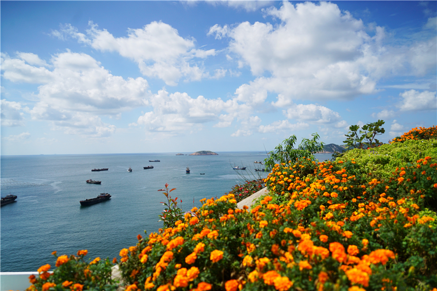 嵊泗美食推荐攻略,嵊泗列岛旅游攻略美食