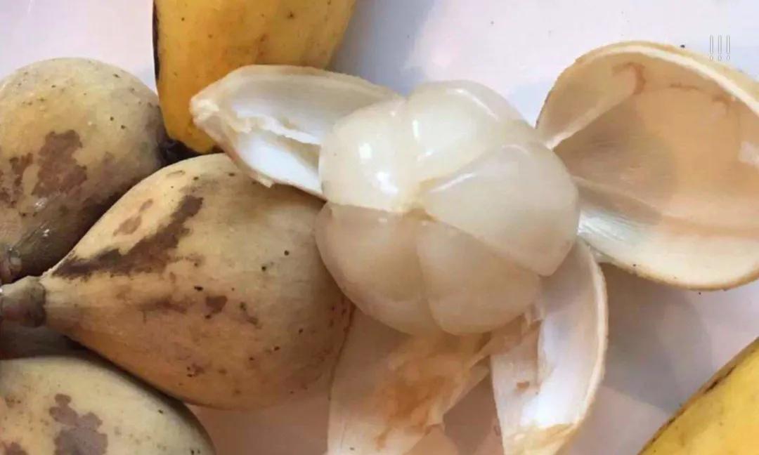 老挝水果品种大全排名,去老挝必吃美食