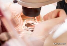 生孩子无需男人，为娃法国女人冒险DIY“造人”！马克龙承诺了？