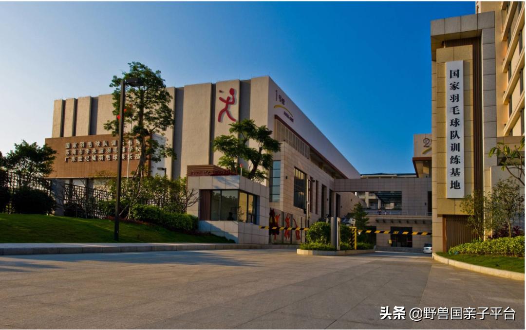 少儿篮球运动哪家好,权威少儿篮球兴趣班机构排名