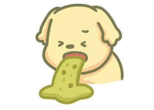 狗狗呕吐判断方法你知道几种,狗狗呕吐颜色分辨什么疾病