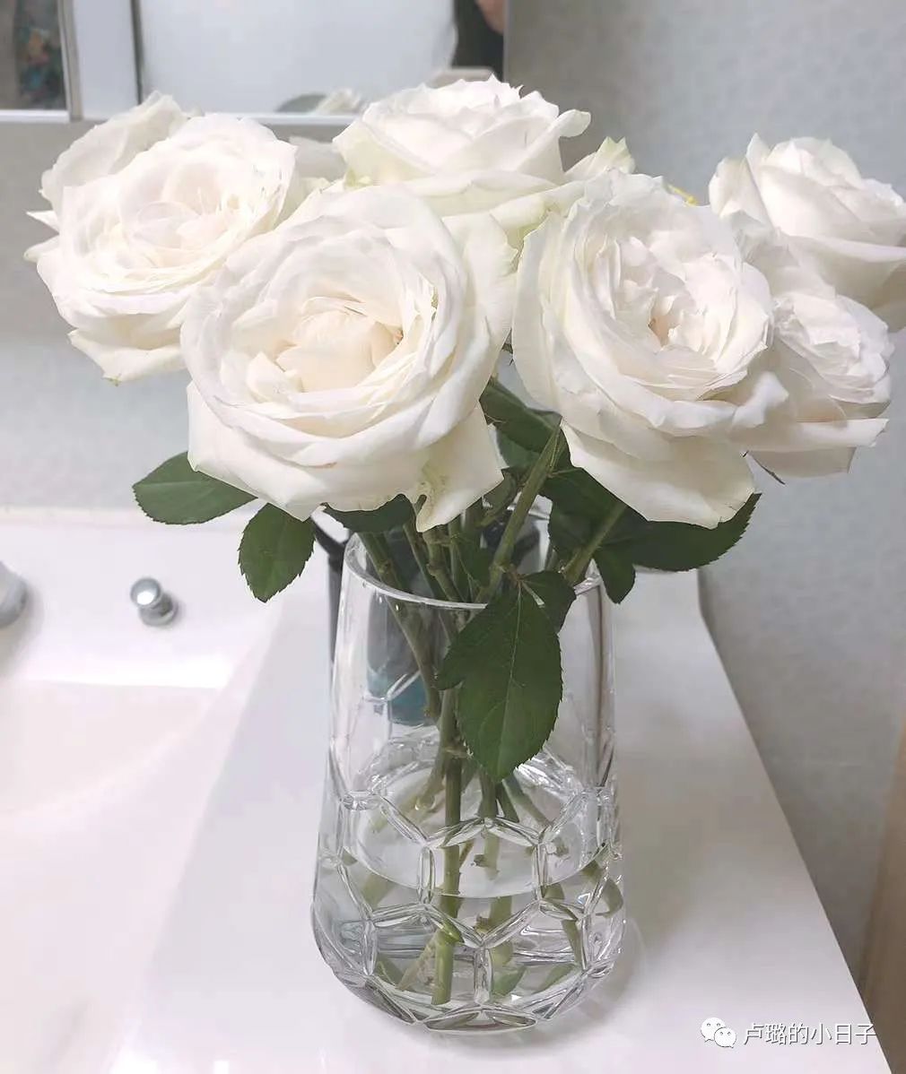 爱马仕最漂亮的花瓶,爱马仕最美花瓶