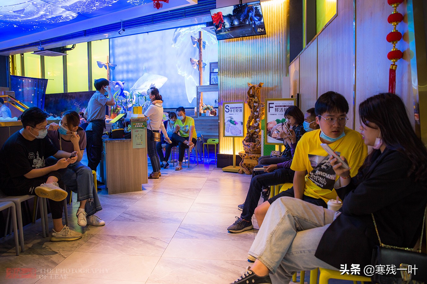 海鲜自助超级贵,海鲜自助为什么贵